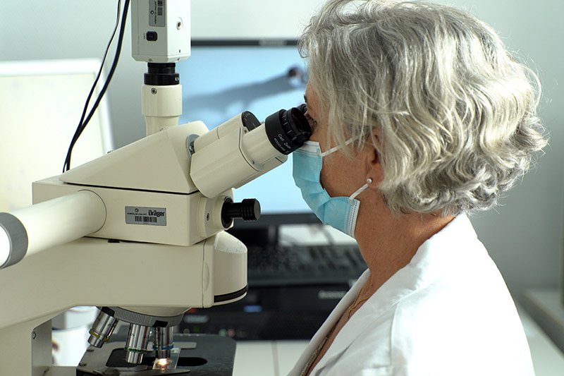 La doctora Laia Bernet, en un laboratorio del grupo Ribera