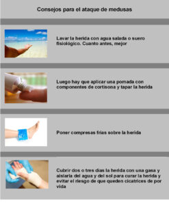 Consejos para las picaduras de medusas