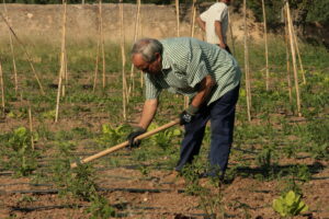 agricultor consejos salud plaguicidas