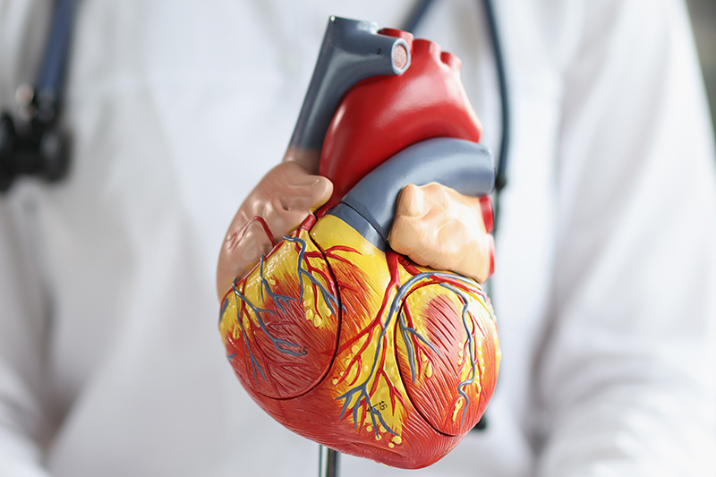 Disfunción diastólica corazón