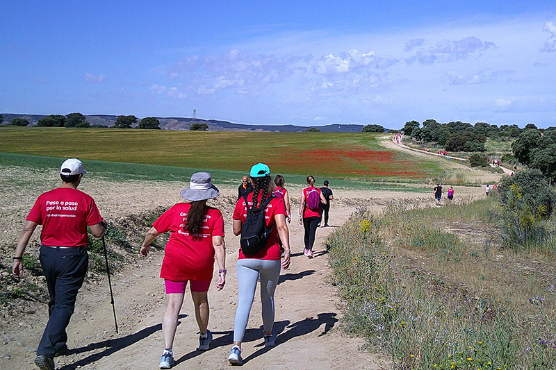 Camino de Cervantes