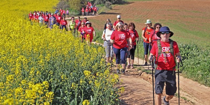HUT_CAMINO DE CERVANTES NUEVO BAZTÁN (1)
