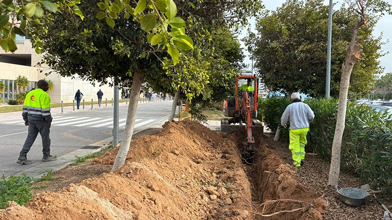 PlacassolaresHospitalVinalopó
