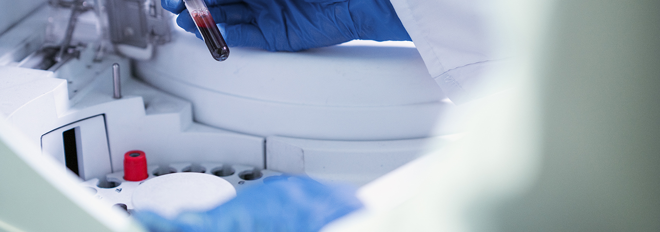 laboratorio haciendo pruebas