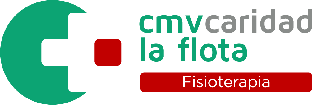 logotipo La Flota