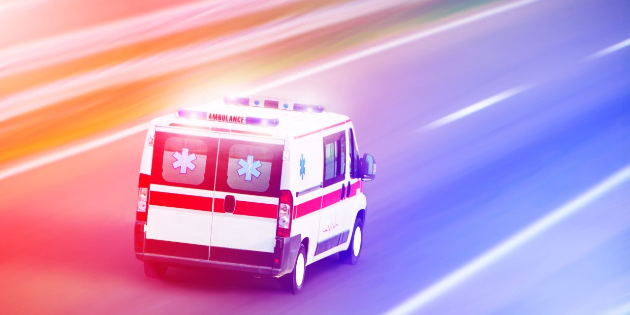 shutterstock   scaled