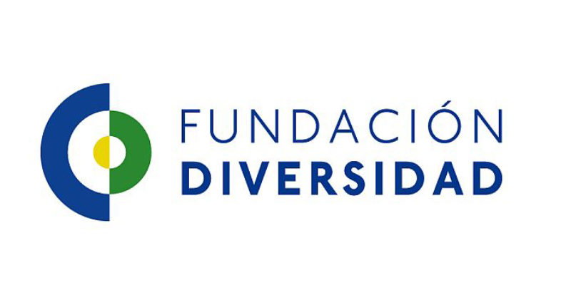 Fundación diversidad